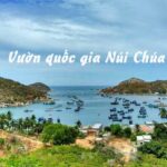 Khám phá vườn quốc gia Núi Chúa