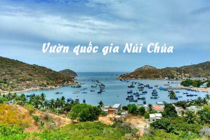 Khám phá vườn quốc gia Núi Chúa