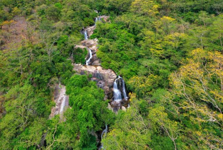 Vườn quốc gia Núi Chúa được Unesco công nhận là khu dự trữ sinh quyển thế giới mới