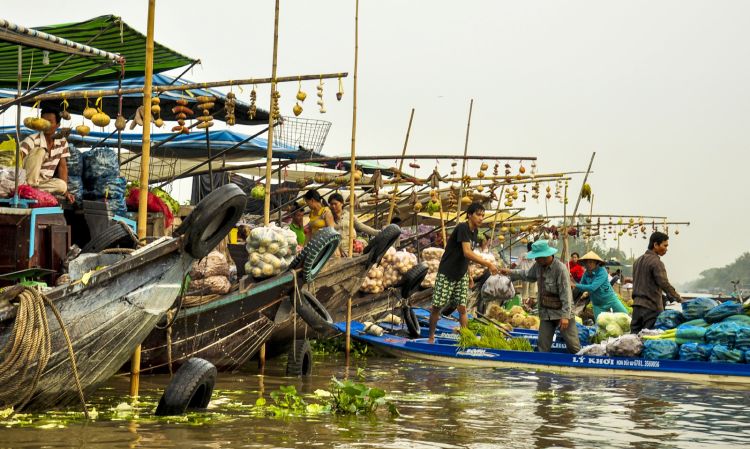 Chợ nổi Ngã Bảy Hậu Giang chợ nổi miền Tây