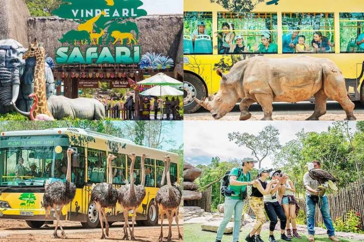 Tham quan Vinpearl Safari Phú Quốc