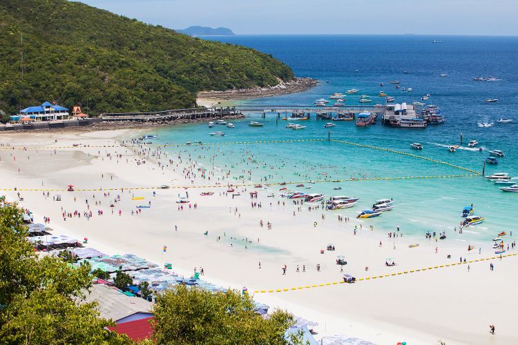 Đảo san hô Koh Larn Coral Island