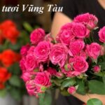 Cửa hàng hoa tươi Vũng Tàu, tiệm bán hoa tươi ở Vũng Tàu.