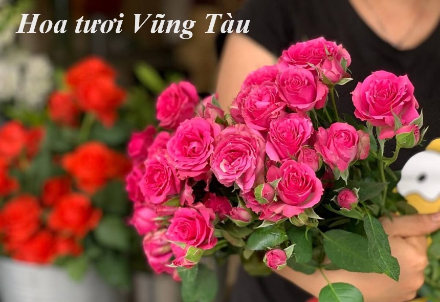 Cửa hàng hoa tươi Vũng Tàu, tiệm bán hoa tươi ở Vũng Tàu.