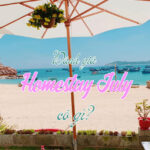 homestay July