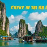 check in Hạ Long