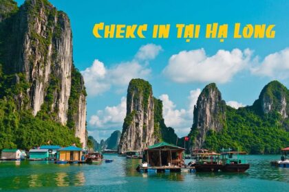 check in Hạ Long