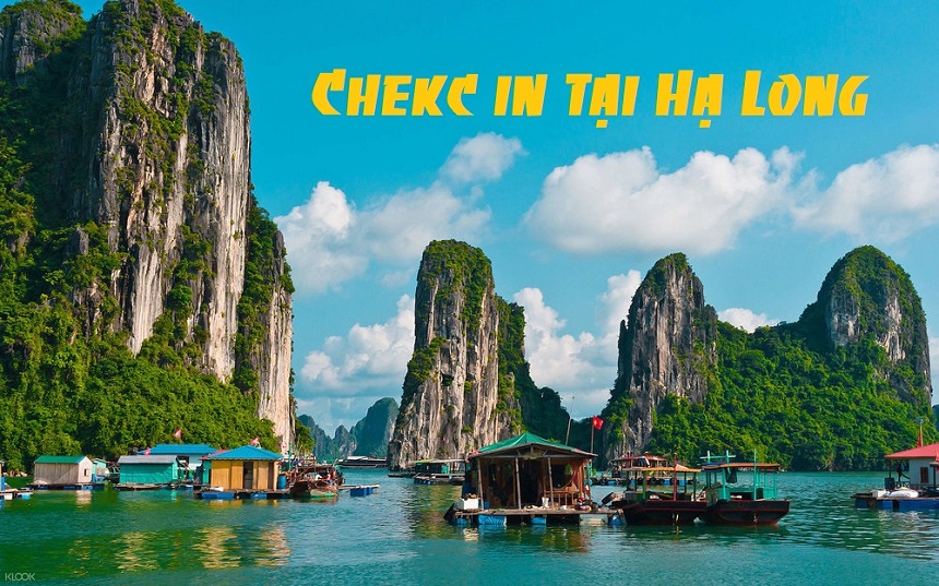 check in Hạ Long