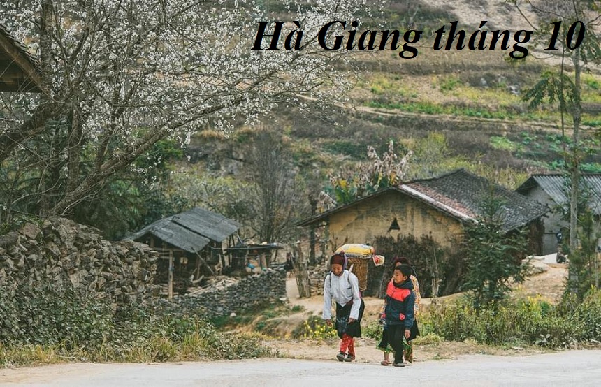 Hà Giang tháng 10 có gì chơi, Hà Giang vào tháng 10 đẹp không.