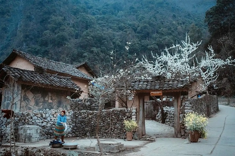 Kinh nghiệm du lịch Hà Giang tháng 10.