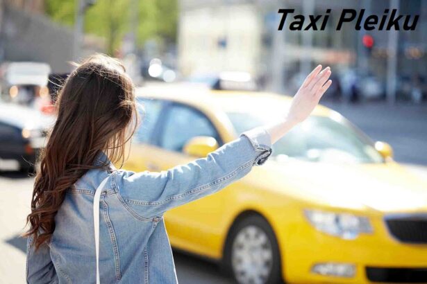 Các hãng taxi Pleiku Gia Lai giá rẻ, taxi ở Pleiku gọi số nào?