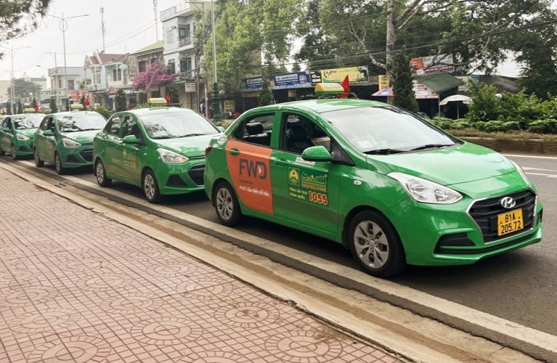 Taxi Mai Linh Pleiku.