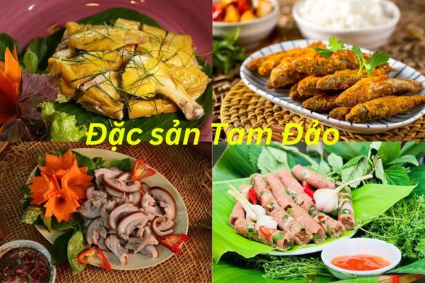 Tam Đảo có đặc sản gì ngon? Món ngon đặc sản Tam Đảo nên thử.