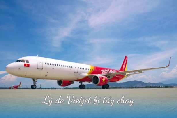 Lý do Vietjet bị tẩy chay