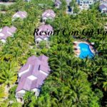 Đánh giá resort Con Gà Vàng Ninh Thuận, không gian và tiện nghi.