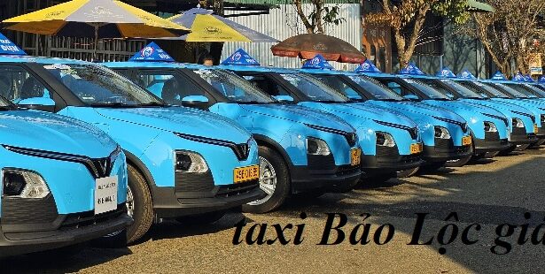 Các hãng taxi Bảo Lộc giá rẻ, số điện thoại taxi tại Bảo Lộc.