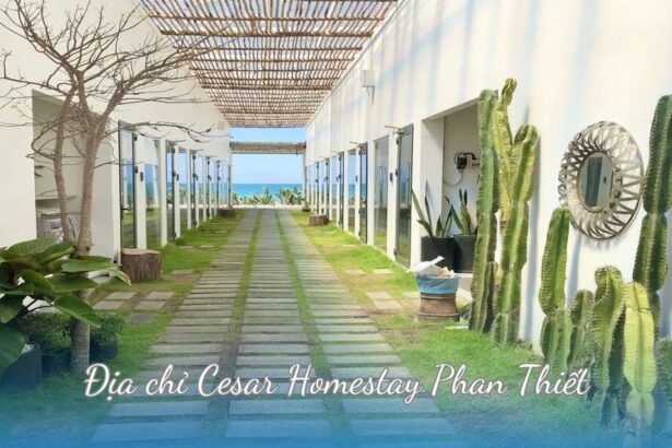 Địa chỉ Cesar Homestay Phan Thiết