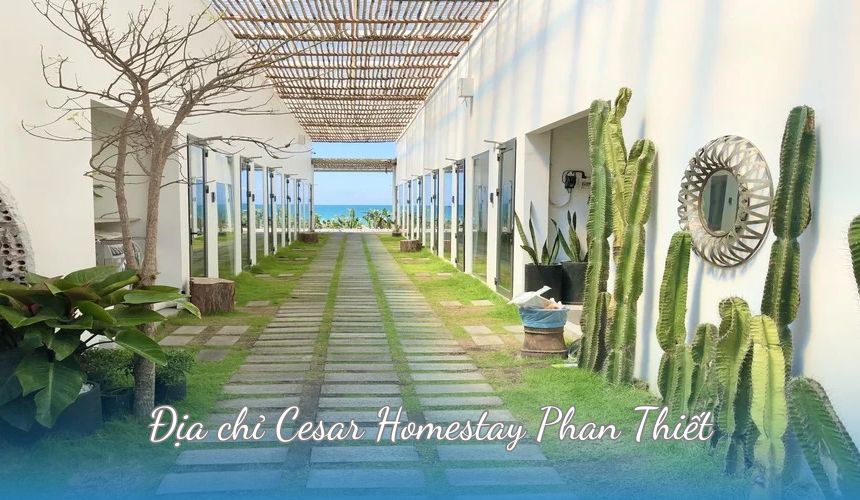 Địa chỉ Cesar Homestay Phan Thiết