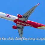 Vietjet có bao nhiêu đường bay nội địa và quốc tế?